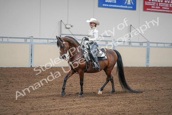 2020 - AB Morgan Horse - Sat, Sept 05 - 09037