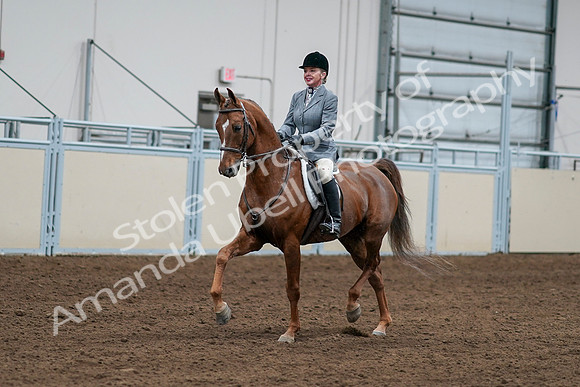 2020 - AB Morgan Horse - Sat, Sept 05 - 03253