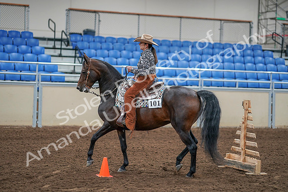 2020 - AB Morgan Horse - Fri, Sept 04 - 00082