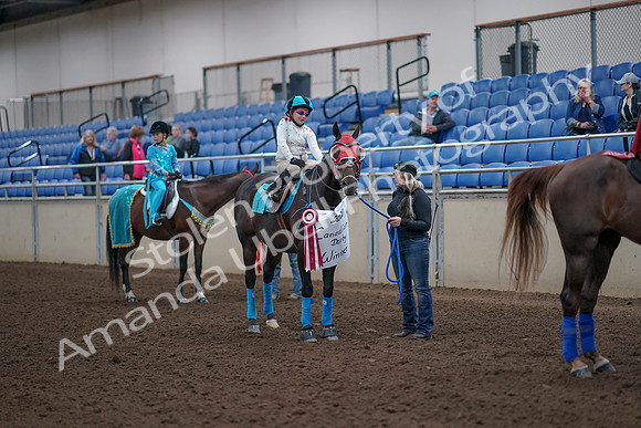 2019 Morgan Horse Show - Aug 31, 2019 - 10135