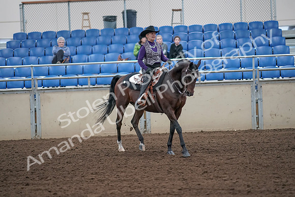 2019 Morgan Horse Show - Aug 31, 2019 - 10785