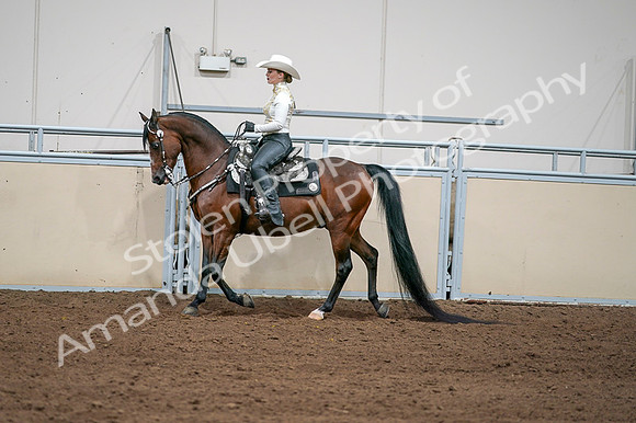 2020 - AB Morgan Horse - Fri, Sept 04 - 08368