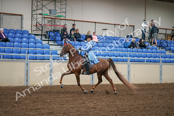 2020 - AB Morgan Horse - Sat, Sept 05 - 03308