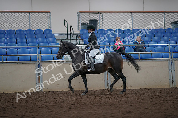 2019 Morgan Horse Show - Aug 31, 2019 - 16652