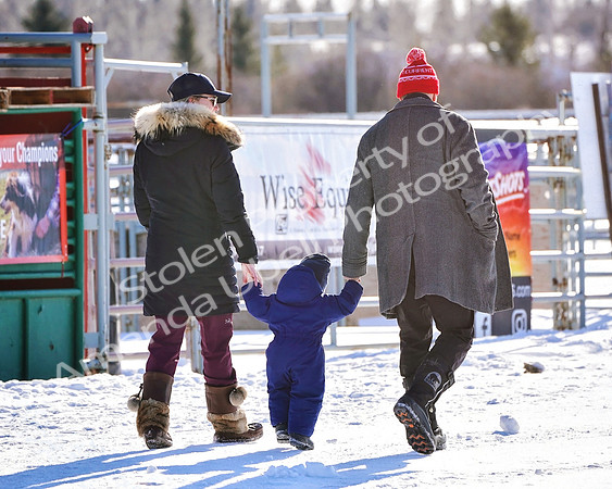 Bailey - 2020 - Skijor - Sat, Feb 22 - 00002