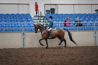 2019 Morgan Horse Show - Aug 31, 2019 - 17123