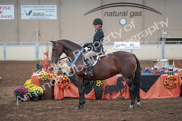 2019 Morgan Horse Show - Aug 31, 2019 - 19796