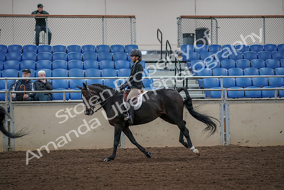 2019 Morgan Horse Show - Aug 31, 2019 - 05117