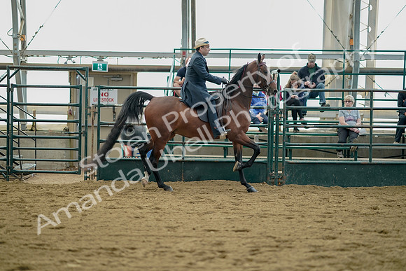 July 21, 2019 - 01742