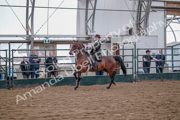 July 20, 2019 - 13852