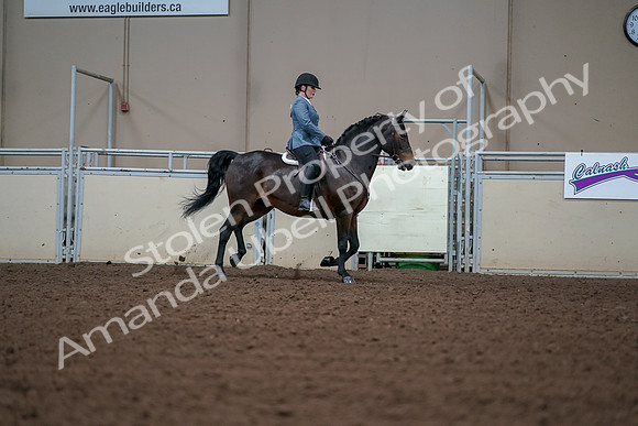 2019 Morgan Horse Show - Aug 30, 2019 - 18599