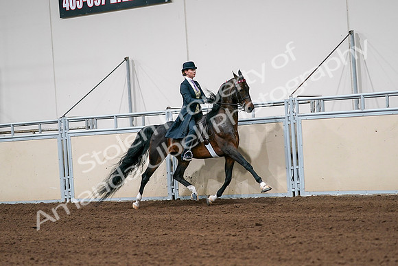 2020 - AB Morgan Horse - Sat, Sept 05 - 06396
