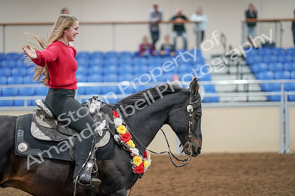 2020 - AB Morgan Horse - Sat, Sept 05 - 10570
