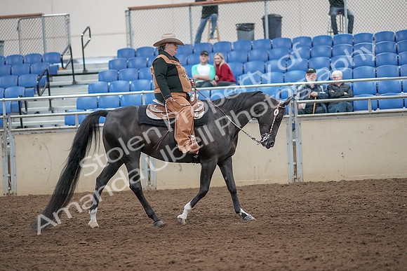 2019 Morgan Horse Show - Aug 31, 2019 - 06215