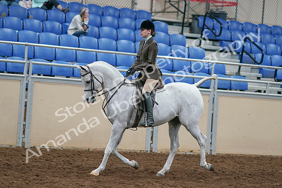 2020 - AB Morgan Horse - Sat, Sept 05 - 14439