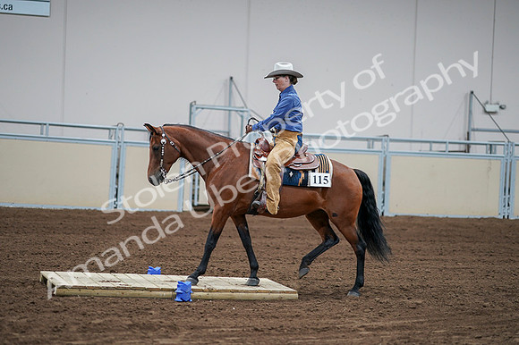 2020 - AB Morgan Horse - Fri, Sept 04 - 00169