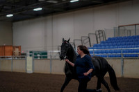 2019 Morgan Horse Show - Aug 31, 2019 - 00511