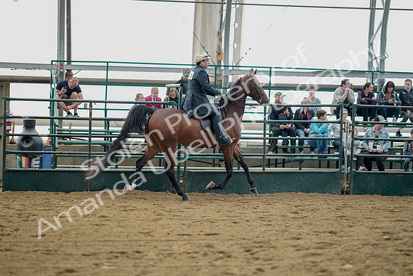 July 21, 2019 - 01880