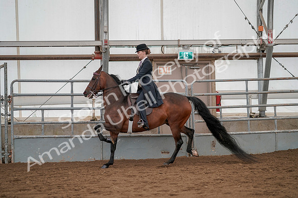 July 20, 2019 - 04381