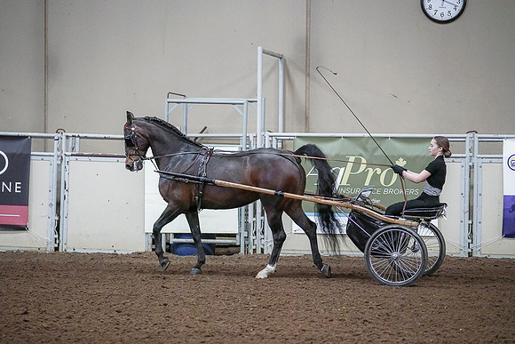 Spring Fling - Saturday - April 20, 2019  -  00243