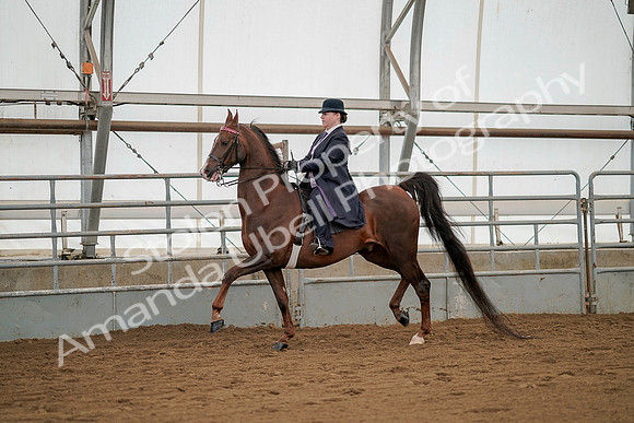 July 20, 2019 - 02228