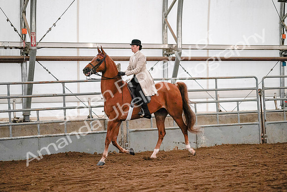 July 19, 2019 - 9016