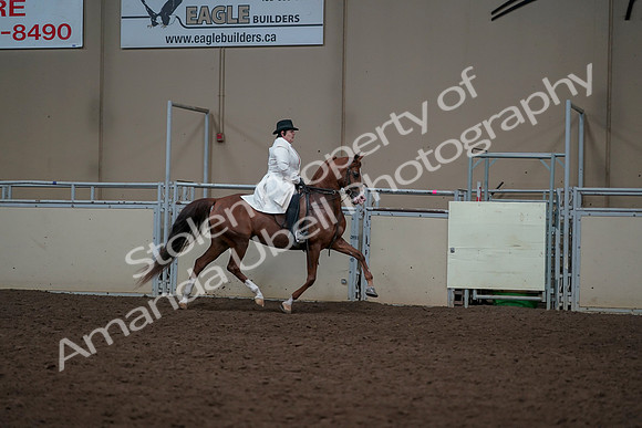 2019 Morgan Horse Show - Aug 31, 2019 - 17938