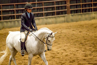 Class 10 - Arabian Sport Horse Under Saddle Open
