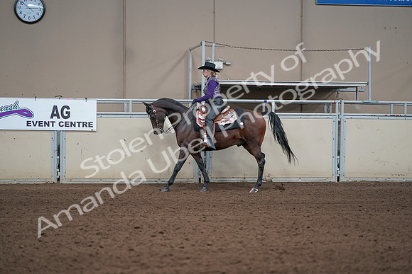 2019 Morgan Horse Show - Aug 31, 2019 - 10585