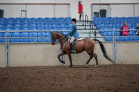 2019 Morgan Horse Show - Aug 31, 2019 - 17130