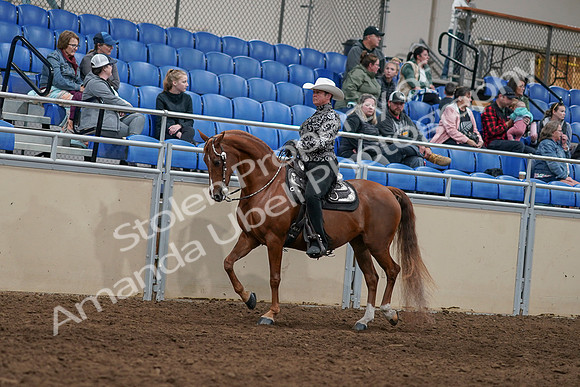 2020 - AB Morgan Horse - Sun, Sept 06 - 07491