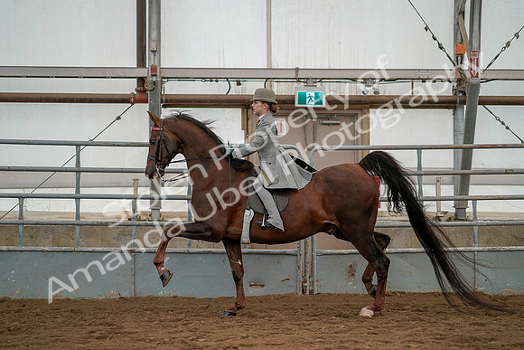 July 19, 2019 - 3994