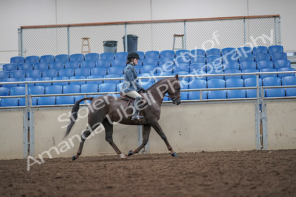 2019 Morgan Horse Show - Aug 31, 2019 - 16745