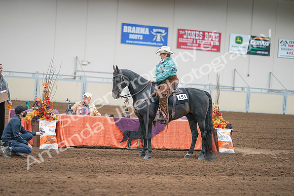 2020 - AB Morgan Horse - Sun, Sept 06 - 01667