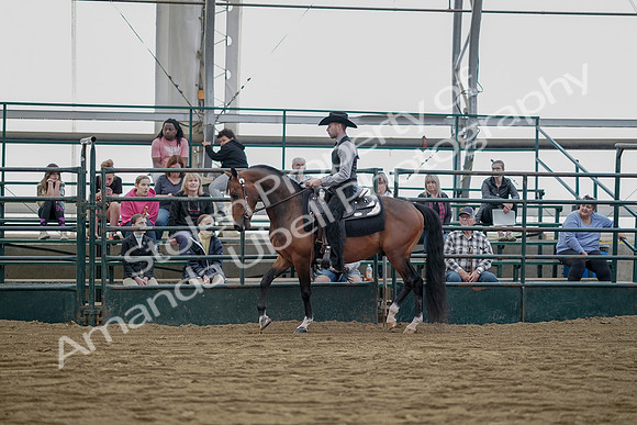 July 21, 2019 - 06588