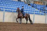 2020 - AB Morgan Horse - Sat, Sept 05 - 04760