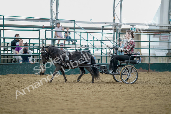 July 21, 2019 - 08979