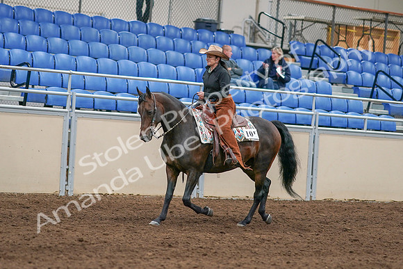 2020 - AB Morgan Horse - Sun, Sept 06 - 01593