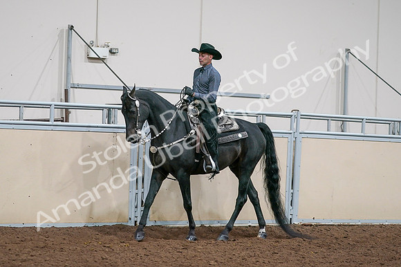 2020 - AB Morgan Horse - Fri, Sept 04 - 08525