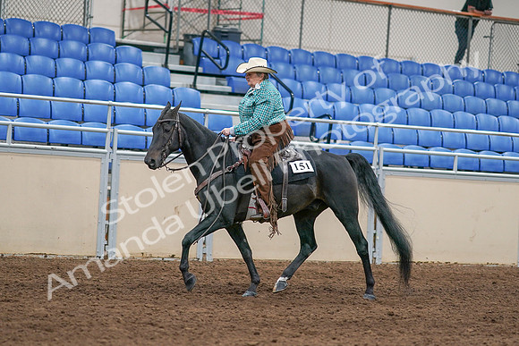 2020 - AB Morgan Horse - Sun, Sept 06 - 01618