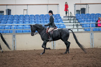 2019 Morgan Horse Show - Aug 31, 2019 - 17141
