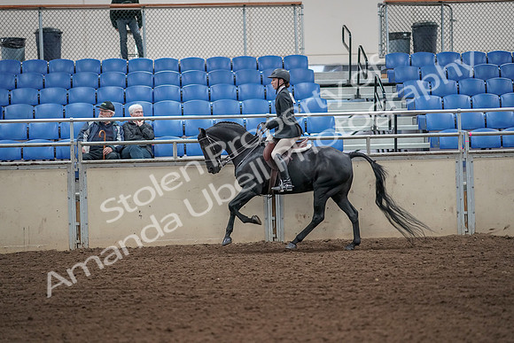 2019 Morgan Horse Show - Aug 31, 2019 - 05067