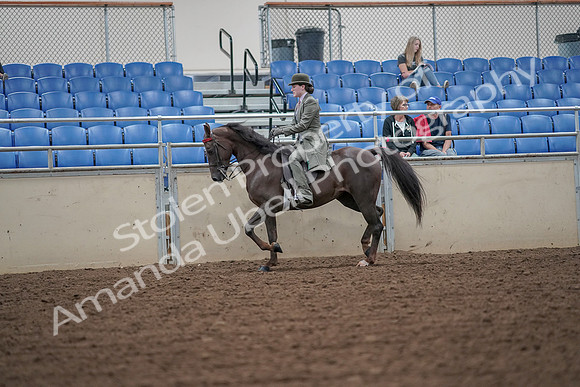 2019 Morgan Horse Show - Aug 30, 2019 - 15391