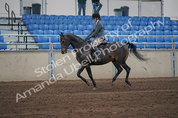 2019 Morgan Horse Show - Sept 01, 2019 - 10962_1