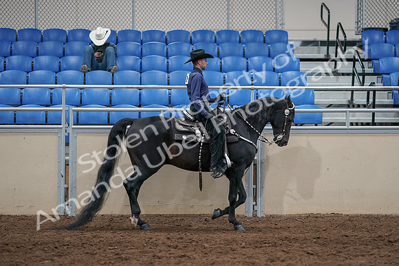 2020 - AB Morgan Horse - Sun, Sept 06 - 07543