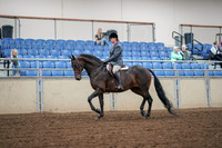 2019 Morgan Horse Show - Aug 30, 2019 - 13881