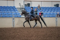 2019 Morgan Horse Show - Aug 30, 2019 - 15298