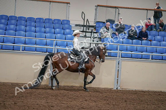 2020 - AB Morgan Horse - Fri, Sept 04 - 08457