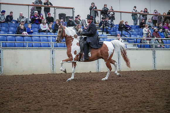 Spring Fling - Saturday - April 20, 2019  -  00691