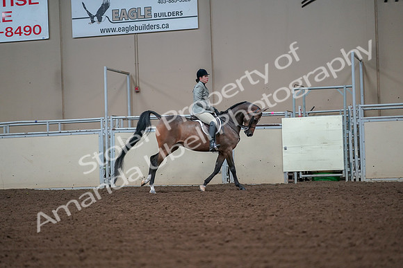 2019 Morgan Horse Show - Aug 30, 2019 - 17512